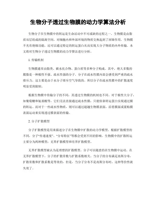 生物分子透过生物膜的动力学算法分析