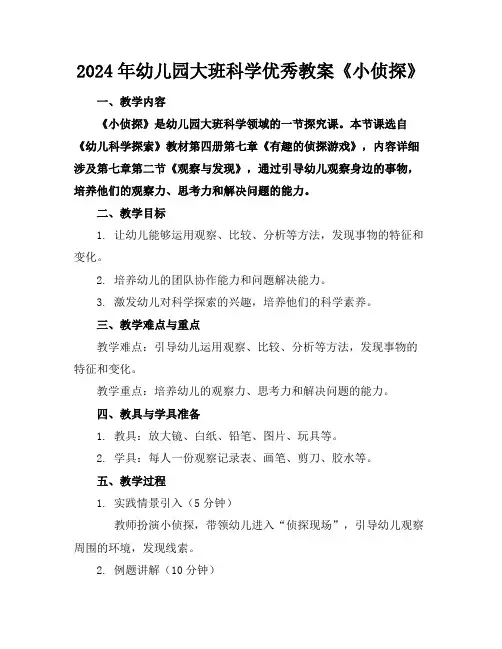 2024年幼儿园大班科学优秀教案《小侦探》