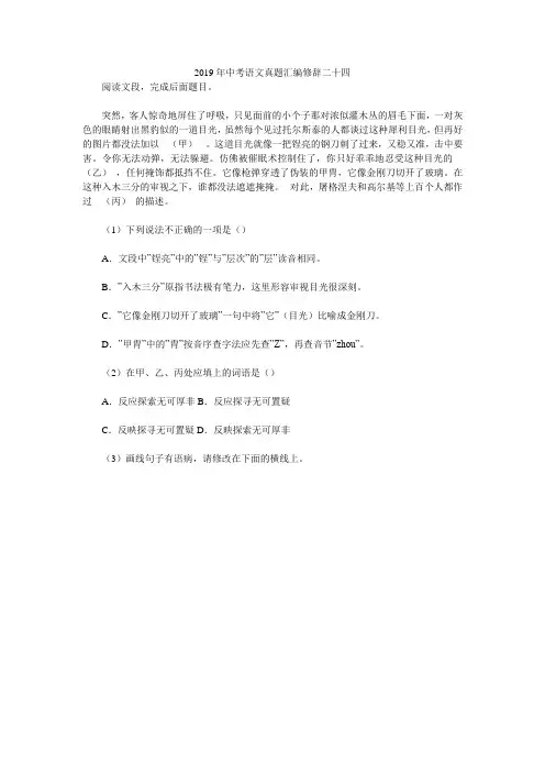 2019年中考语文真题汇编修辞二十四
