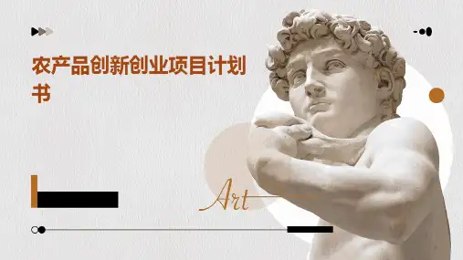 农产品创新创业项目计划书PPT