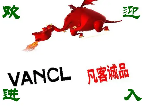 凡客诚品公司的网络营销战略