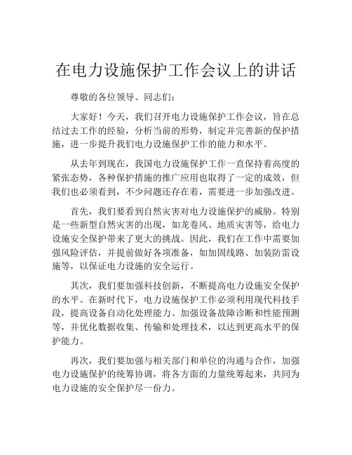 在电力设施保护工作会议上的讲话