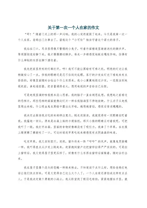 关于第一次一个人在家的作文