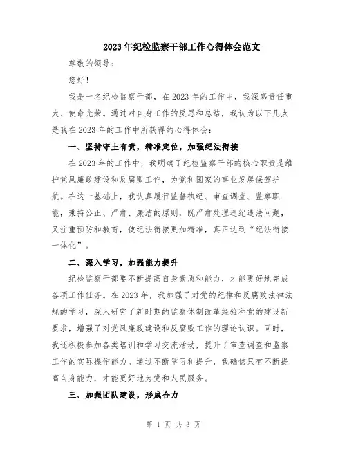 2023年纪检监察干部工作心得体会范文