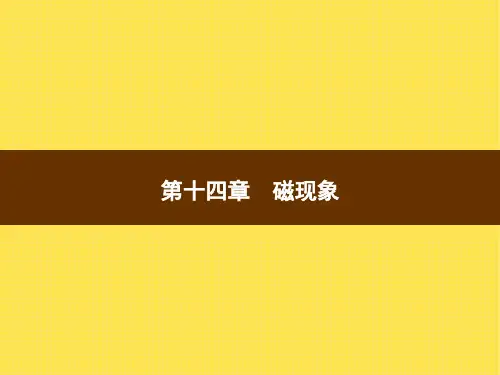 北师大版 九年级物理 第十四章磁现象 复习课件