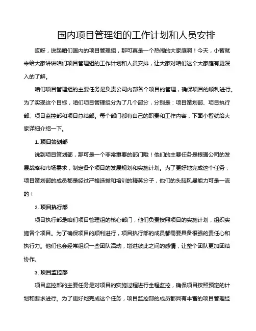 国内项目管理组的工作计划和人员安排