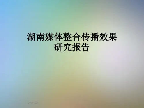 湖南媒体整合传播效果研究报告