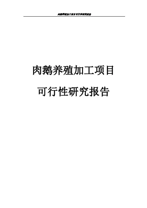 肉鹅养殖加工项目可行性研究报告