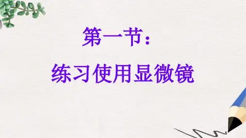 新人教版七年级生物上册第二单元第一章第一节练习使用显微镜课件2