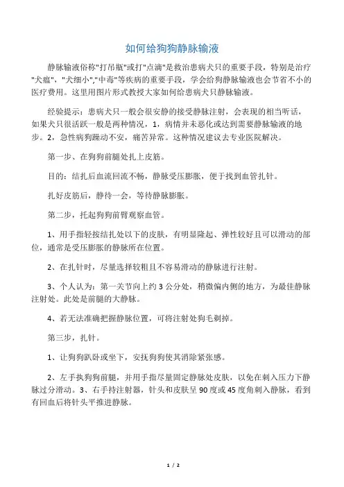如何给狗输液