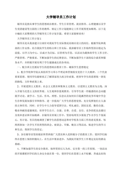大学辅导员工作计划五篇