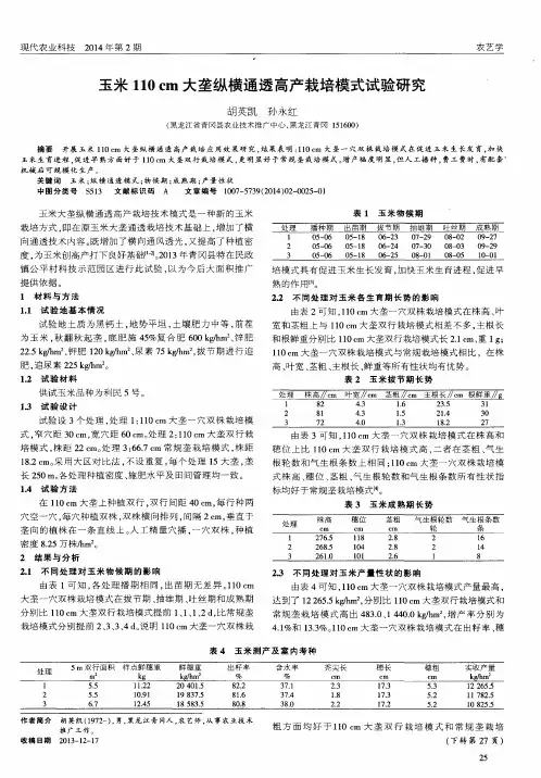 玉米110 cm大垄纵横通透高产栽培模式试验研究