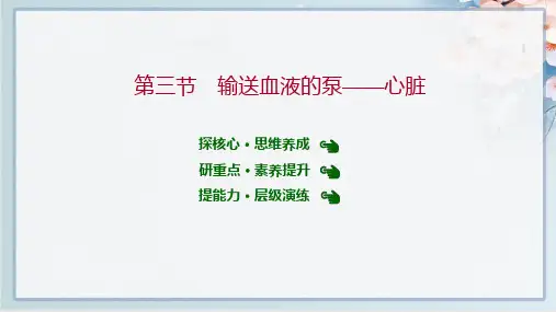 2022年人教版七年级下册生物第四单元第四章第三节 输送血液的泵——心脏
