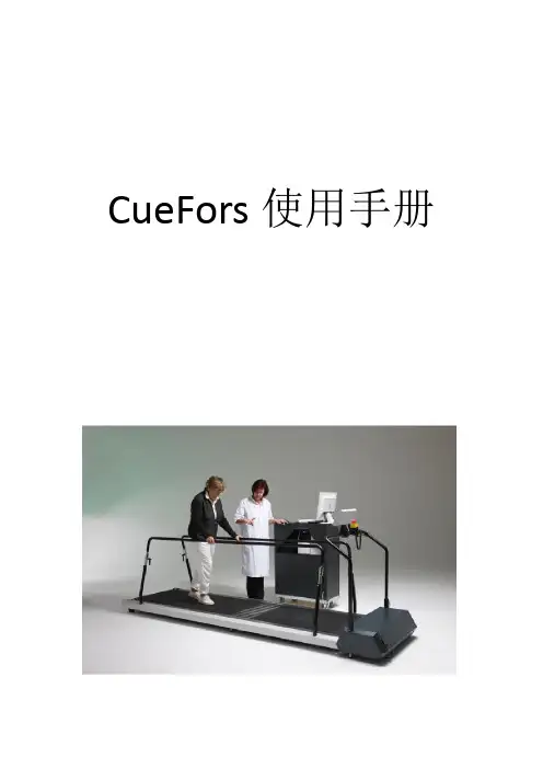 CueFors 使用手册