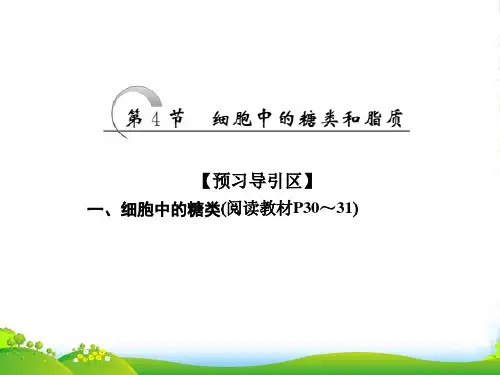 高中生物人教版必修1课件：第2章 第4节 细胞中的糖类和脂质