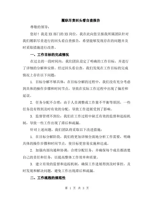 履职尽责回头看自查报告