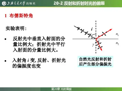 20-2反射和折射时的偏振现象