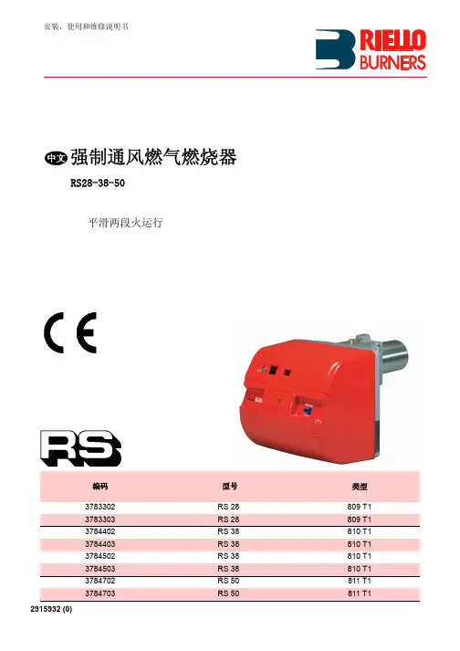 利雅路燃烧器RS 版 中文说明书