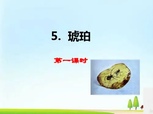 四年级下册语文课件-5琥珀   人教部编版 (共40张PPT)