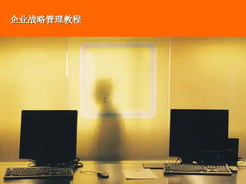 MBA企业战略管理教程
