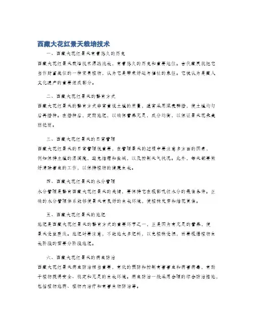西藏大花红景天栽培技术