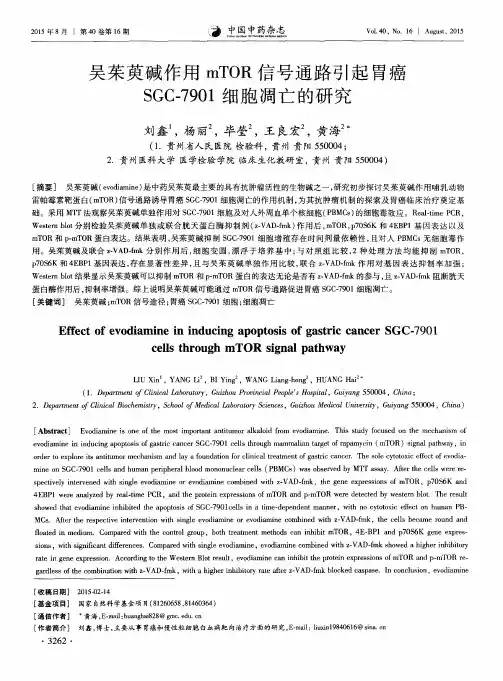 吴茱萸碱作用mTOR信号通路引起胃癌SGC-7901细胞凋亡的研究
