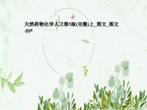 天然药物化学人卫第5版(完整)上_图文_图文