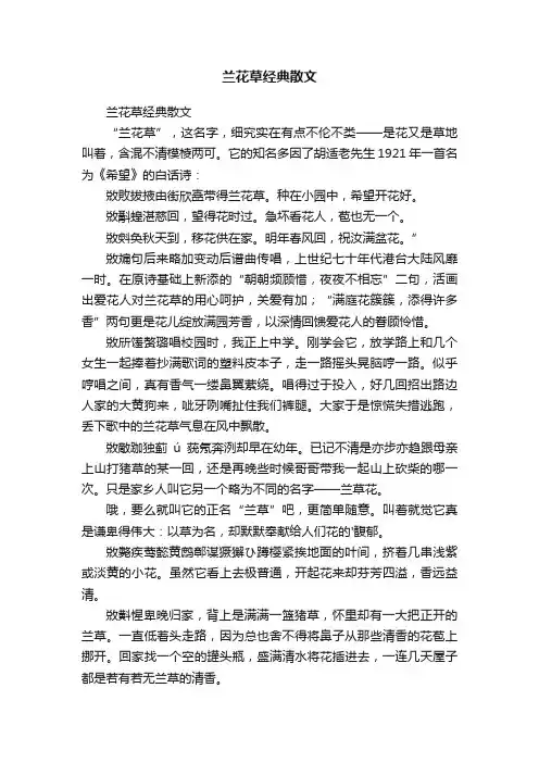 兰花草经典散文