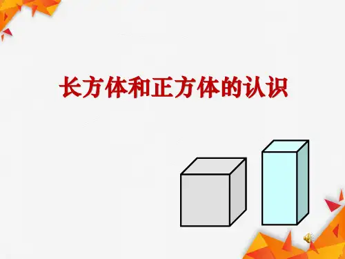 苏教版六年级数学上册全套全册PPT课件