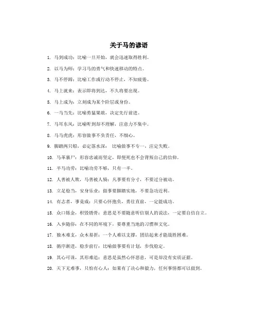 关于马的谚语