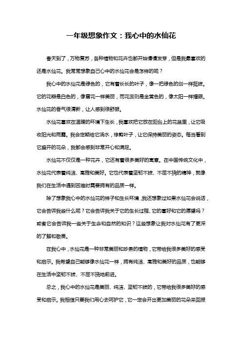 一年级想象作文：我心中的水仙花