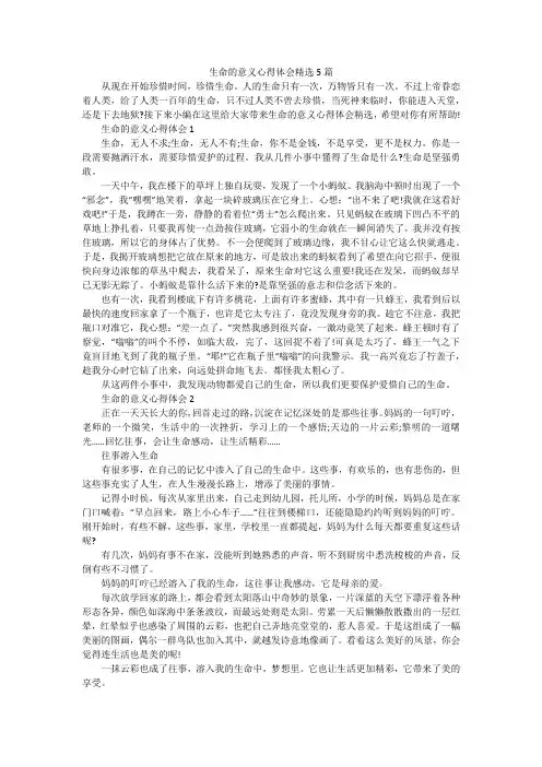 生命的意义心得体会精选5篇