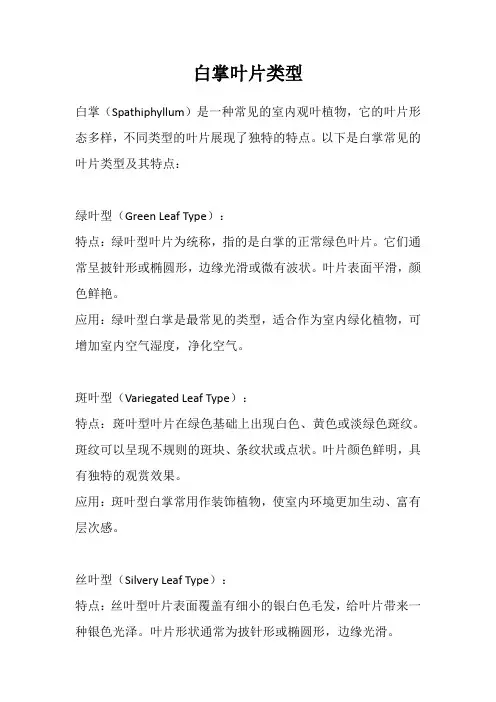 白掌叶片类型