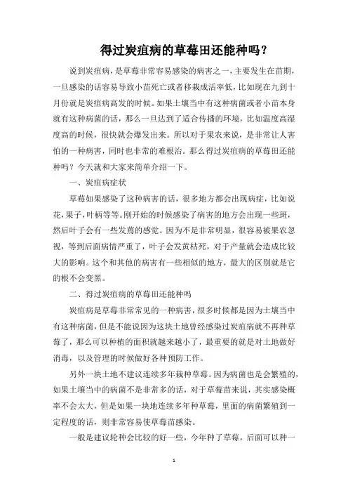 得过炭疽病的草莓田还能种吗？