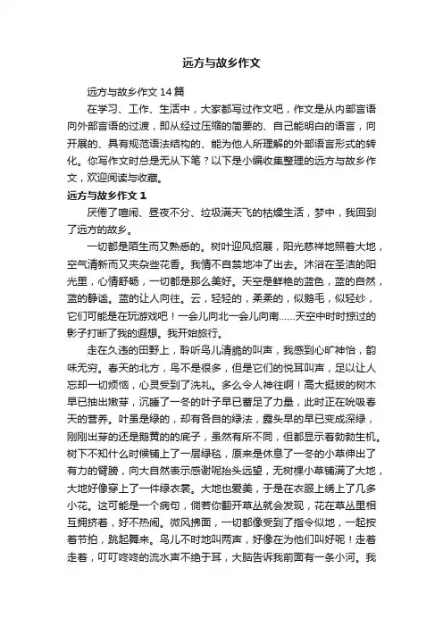 远方与故乡作文14篇