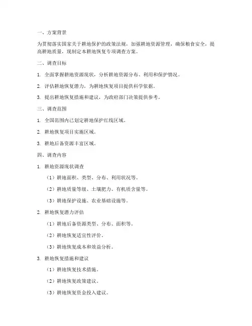 耕地恢复专项调查方案