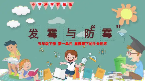 (苏教版五年级科学下册)《发霉与防霉》PPT