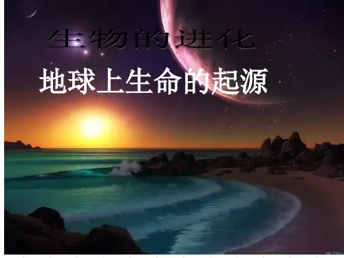 北师大版生物八下《生命的起源》课件3