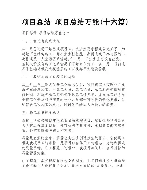 项目总结 项目总结万能(十六篇)
