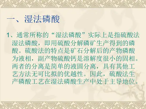 湿法磷酸生产饲料级磷酸氢钙