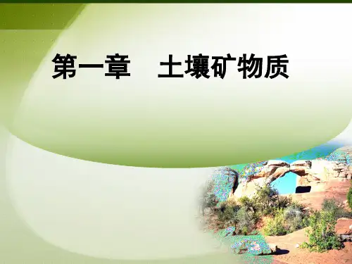 土壤学_第一章土壤矿物质