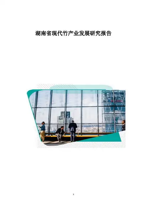湖南省现代竹产业发展研究报告1