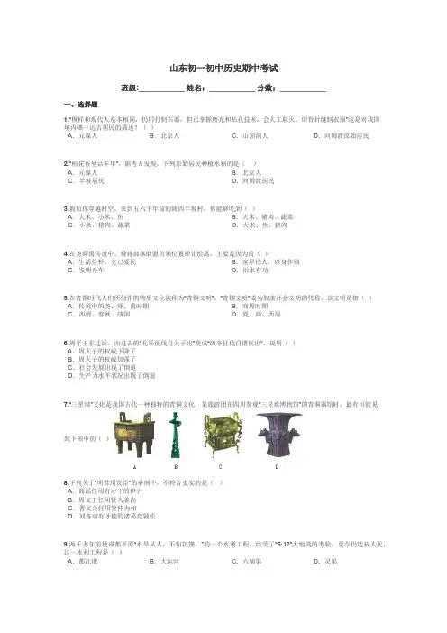 山东初一初中历史期中考试带答案解析
