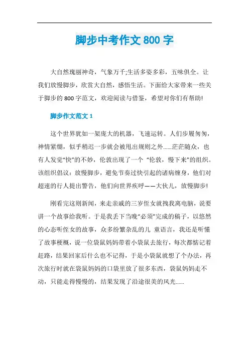 脚步中考作文800字