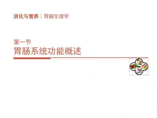 消化生理