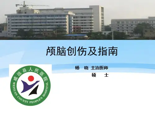 颅脑创伤及指南--最好最终版本