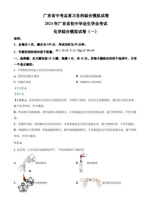 2024年广东省茂名市第一中学中考第一次模拟考试化学试卷(解析版)