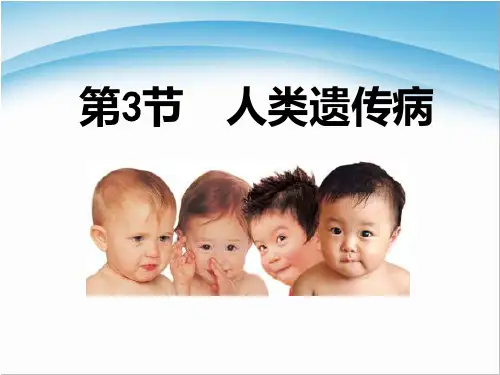 人教版高中生物必修(二) 5.3人类遗传病   课件  (共56张PPT)