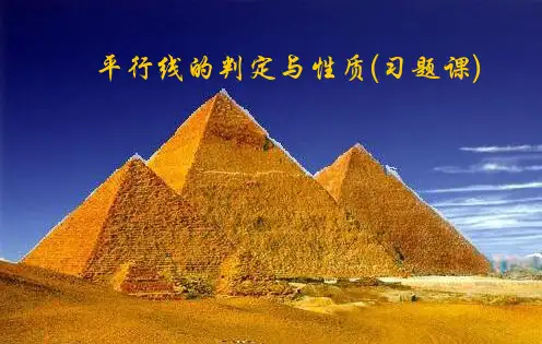 平行线的判定与性质(习题课)讲解学习