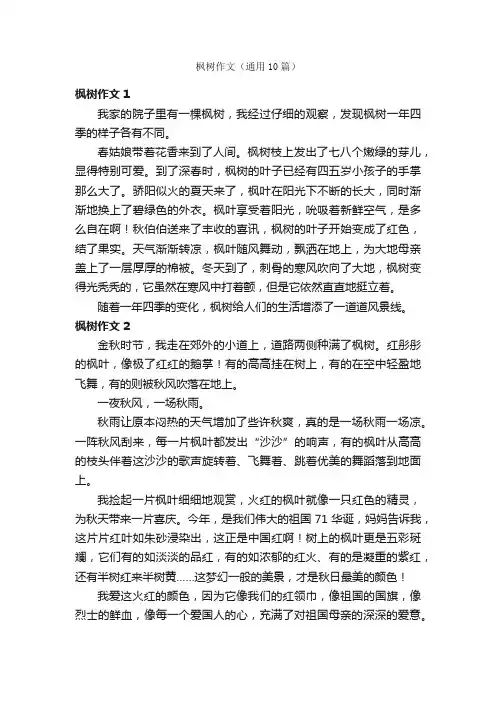 枫树作文（通用10篇）